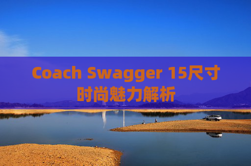 Coach Swagger 15尺寸时尚魅力解析