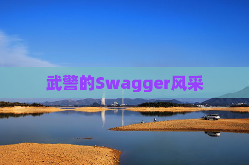 武警的Swagger风采